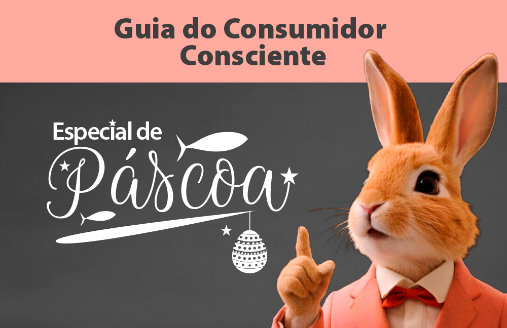 Banner dividido em duas partes. No topo, faixa rosa com 