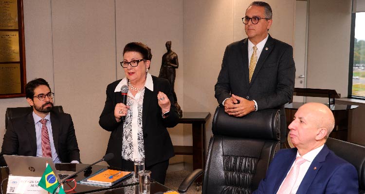 Fotografia de participantes da reunião