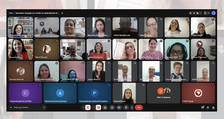 Imagem de print com participantes da reunião online