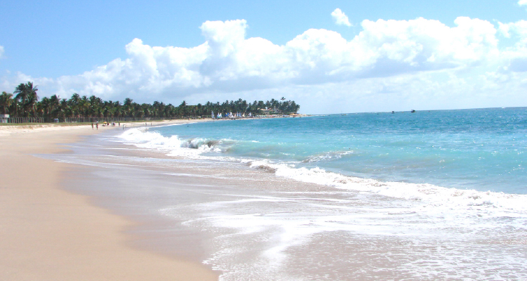 Imagem de praia de Maracaípe
