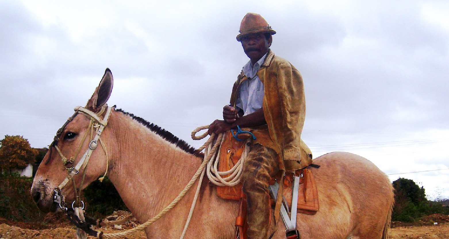 Um vaqueiro nordestino, de chapéu de couro e gibão, monta um burro.